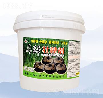 馬蹄壯秧劑（5kg）-禾豐