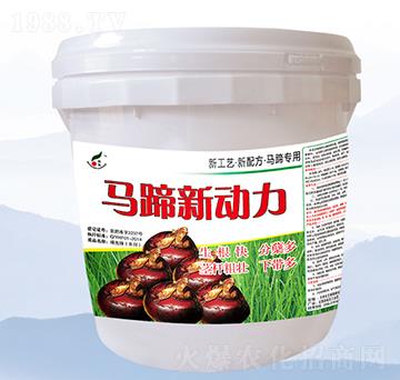 馬蹄新動力-禾豐