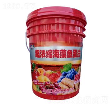 超濃縮海藻魚蛋白-萬事達