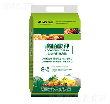 ��ֲ���-����