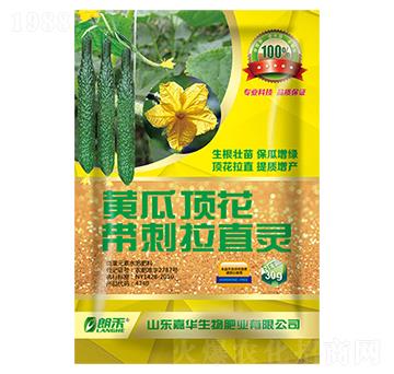 黃瓜頂花帶刺拉直靈-嘉華生物