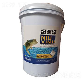 �~��ķ�~��-��(chu��ng)�r�I(y��)