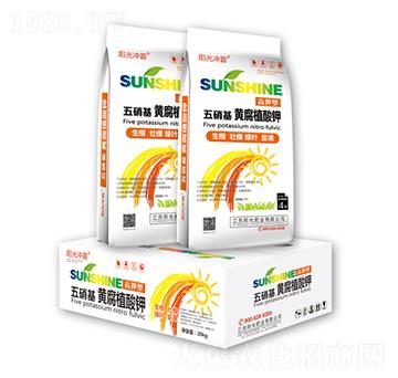 �������S��ֲ���-ꖹ�ʘI(y��)