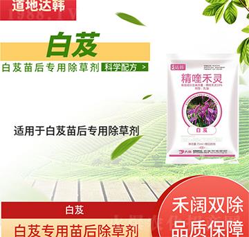 ��ܸ���݄�-��ܸ���-��ܸ����-���n