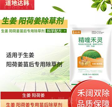 生姜陽荷姜除草劑-生姜陽荷姜苗后-生姜陽荷姜專用-大韓