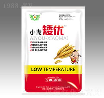 小麥矮優(yōu)-金太陽肥業(yè)