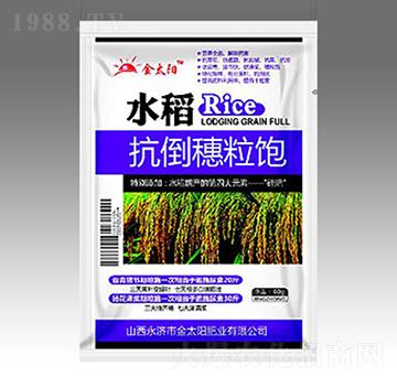 水稻抗倒穗粒飽-金太陽肥業(yè)