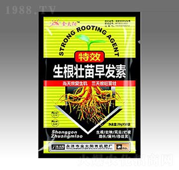 生根壯苗早發(fā)素-金太陽肥業(yè)