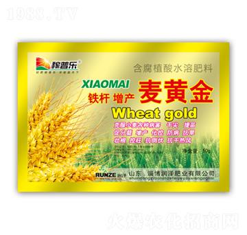 鐵桿增產(chǎn)麥黃金-潤澤肥業(yè)