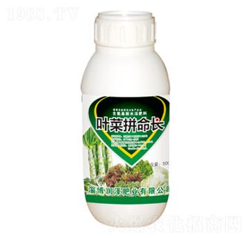 葉菜拼命長-潤澤肥業(yè)