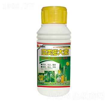 瓜類膨大素-稼普樂-潤澤肥業(yè)