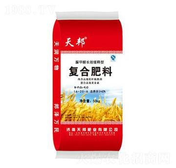 �ͺϷ���16-20-6