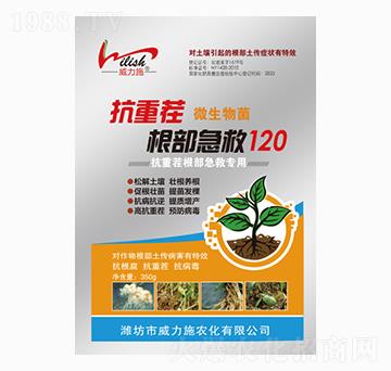 根部急救120-威力施