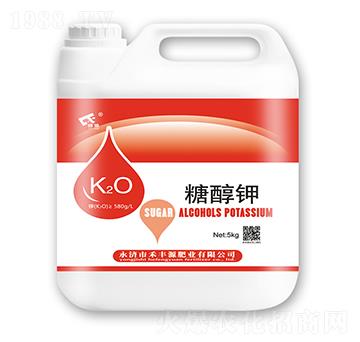 �Ǵ��-���SԴ�ʘI(y��)