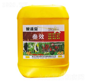 叁效-曾溫寶-瑞苗