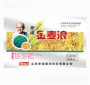 金麥浪-華諾聯(lián)邦