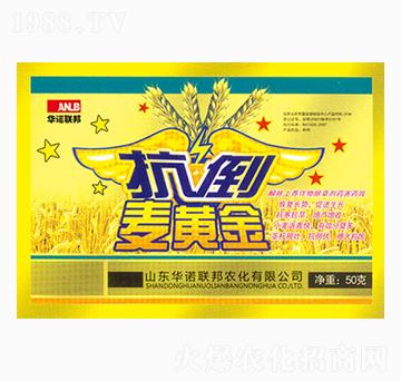 抗倒麥黃金-華諾聯(lián)邦