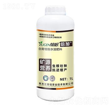 含腐植酸水溶肥料 倍加 康植農(nóng)業(yè)