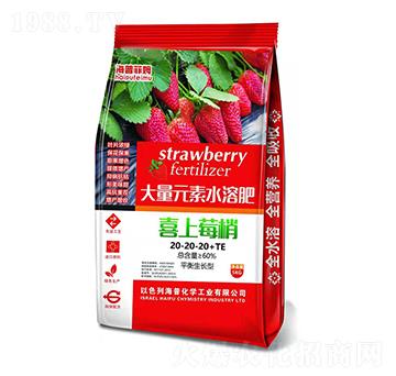 平衡生長型大量元素水溶肥20-20-20+TE 喜上莓梢 海普化學(xué)