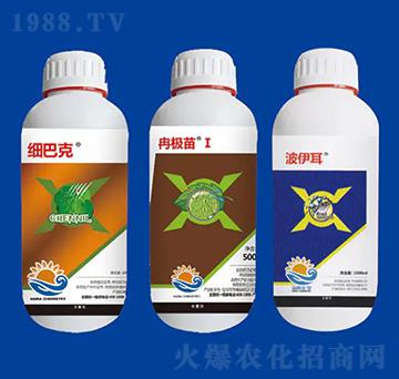 死棵組合③ 海冉化學(xué)