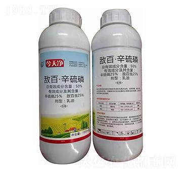 50%敵百·辛硫磷 今天凈 鑫正虹