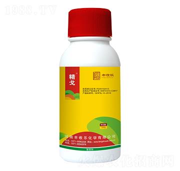 20%���@�-����-�S�՘�