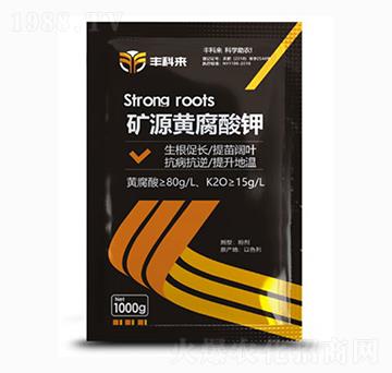 1000g�VԴ�S�����-�S�Ɓ�(l��i)-����������