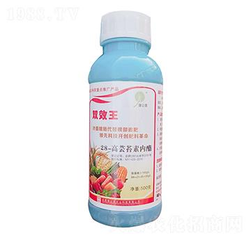 含氨基酸水溶肥 蒲公英農業(yè)