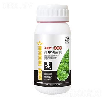 瓶裝真菌病專(zhuān)用微生物菌劑-圣肥農(nóng)-中圣農(nóng)業(yè)