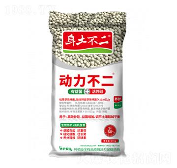 動(dòng)力不二 身土不二 土木啟生物