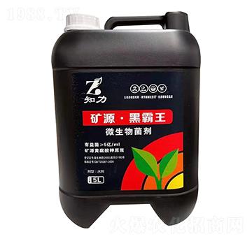 微生物菌劑 礦源·黑霸王 遠圖農(nóng)業(yè)