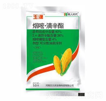 40%���ס�������-��t-ؐ����