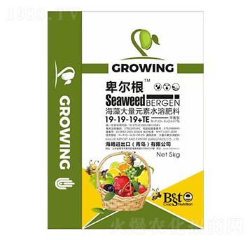 海藻大量元素水溶肥料19-19-19+TE-卑爾根-海略