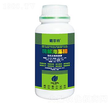 ø�⺣�徫-�Է���-�G֮Դ����