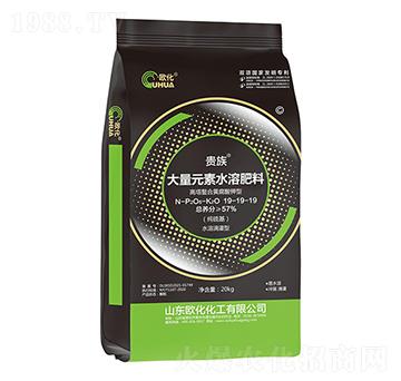 �������S����⛴���Ԫ