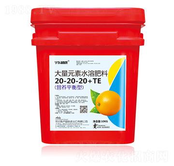 營養(yǎng)平衡型大量元素水溶肥料20-20-20+TE-圣金肥業(yè)