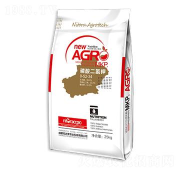 ��������0-52-34-���_(d��)�_