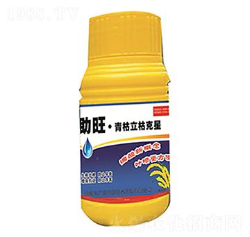 ������ݿ���-����-�V��