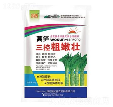 萵筍三控粗嫩壯-國(guó)光益農(nóng)