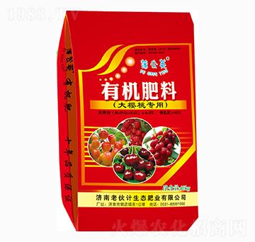 ���Ҍ����ЙC(j��)����-�ϻ�Ӌ(j��)