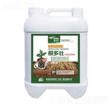 根多壯-金吉達(dá)