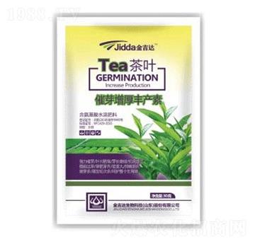 茶葉催芽增厚豐產(chǎn)素-金吉達