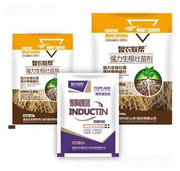 生根壯苗劑-金吉達