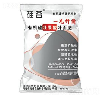 �ЙC��ѹ����~���-��