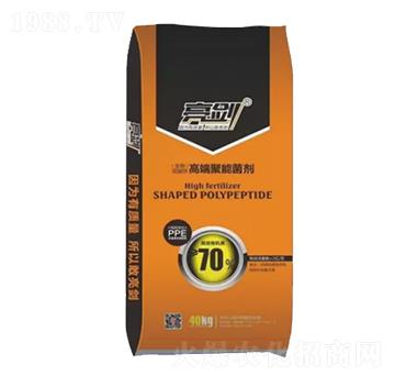 高端聚能菌劑-亮劍-豐根肥業(yè)