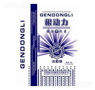 根動(dòng)力-沃伯特-中農(nóng)化肥