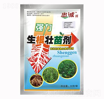 �������焩-�����r(n��ng)