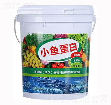 小魚蛋白-賽固特