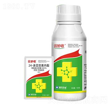 24-表蕓苔素內(nèi)酯-云妙收-加號(hào)農(nóng)業(yè)