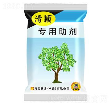 ��(zhu��n)������-��f-�d�r(n��ng)ˎ�I(y��)